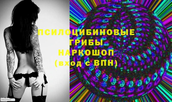 Альфа ПВП Балахна