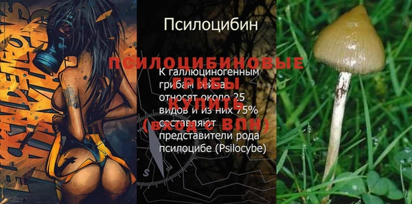 Альфа ПВП Балахна